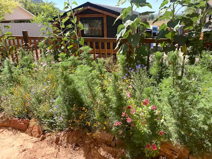 Tiny Houses (Hildale, Utah, United States of America)