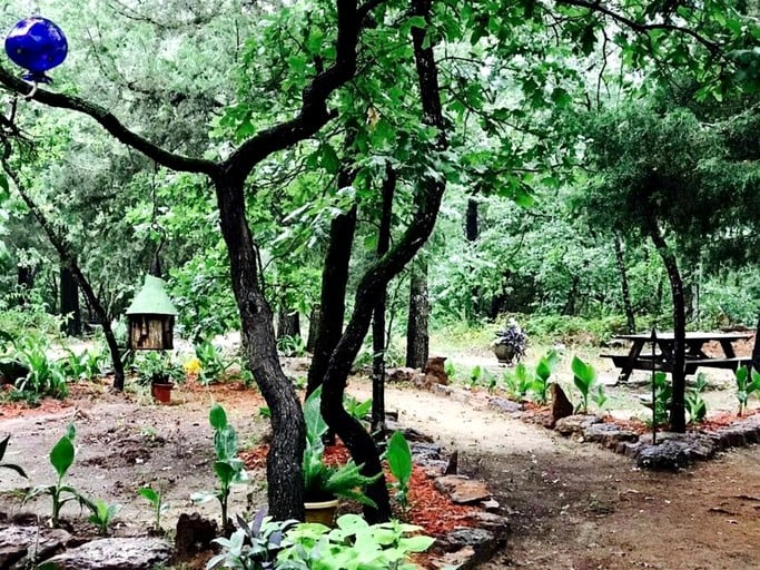 Cabins (United States of America, Ben Wheeler, Texas)