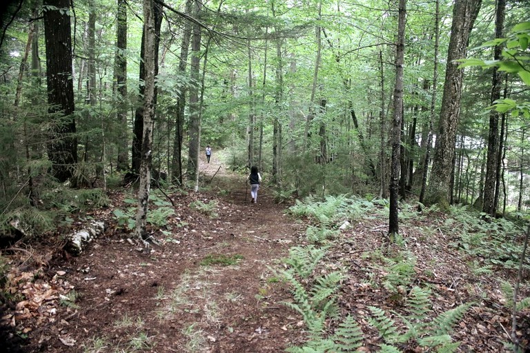 Cabins (United States of America, Eagle Bay, New York)
