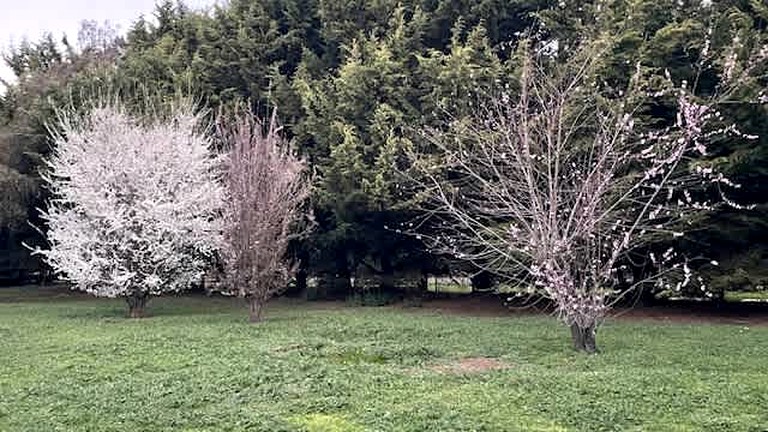 Vacation Rentals (Australia, Lancefield, Victoria)