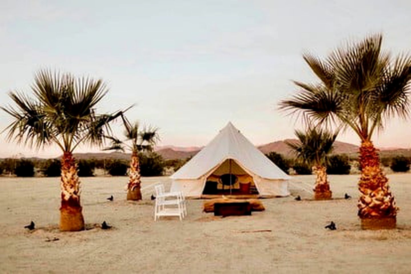 Joshua Tree Glamping Stay, Ideal for a California Vacation