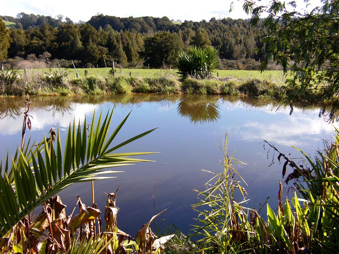 Gorgeous Cottage Rental in with Sub-Tropical Gardens near Kerikeri, Bay of Islands in New Zealand | Cottages (Oromahoe, North Island, New Zealand)