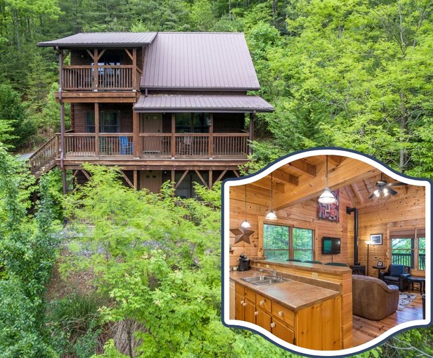 Cabins (United States of America, Black Mountain, North Carolina)