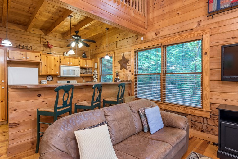 Cabins (United States of America, Black Mountain, North Carolina)