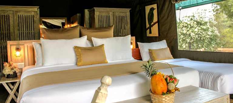 Safari Tents (Wirawila, Southern Province, Sri Lanka)