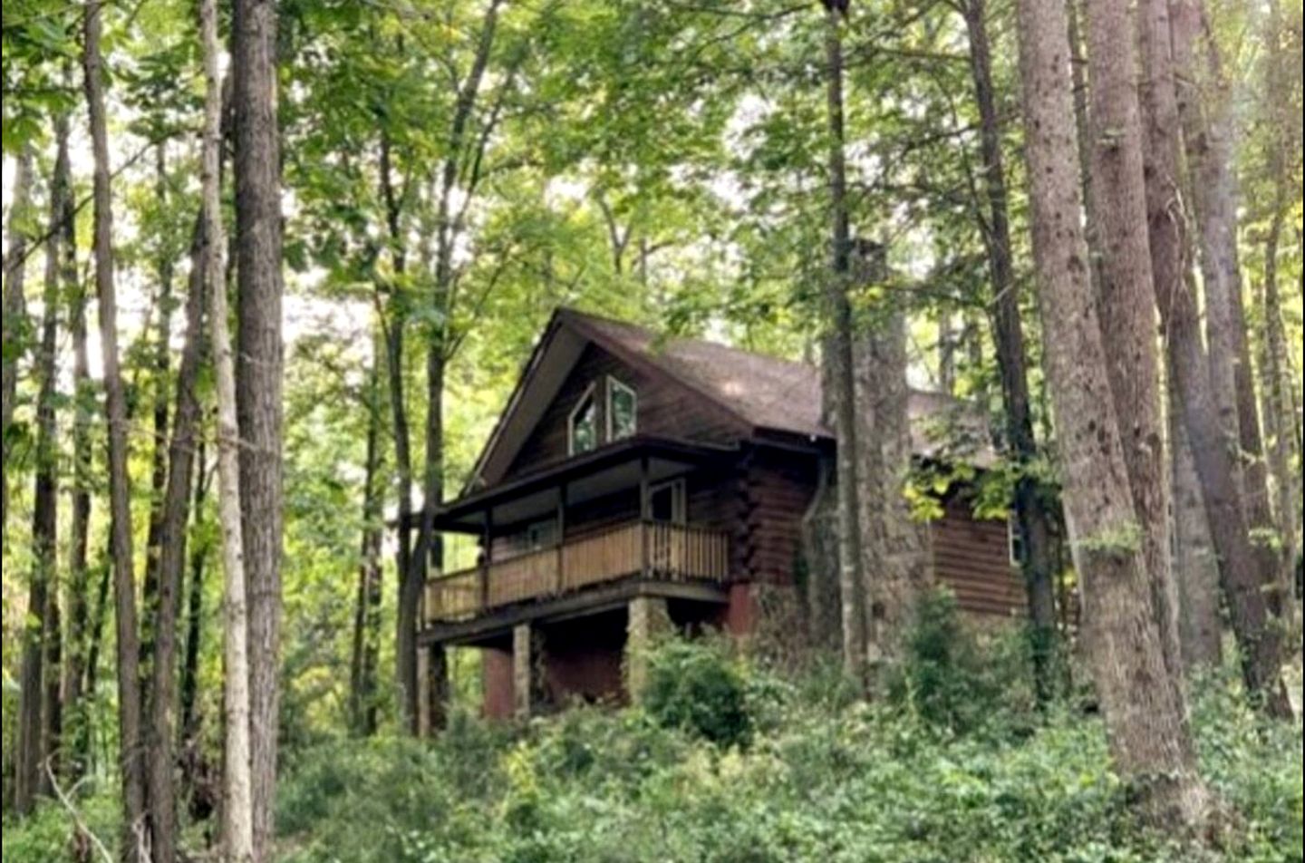 Cozy Forest Cabin Surrounded by Trees near Stone Mountain State Park, North Carolina