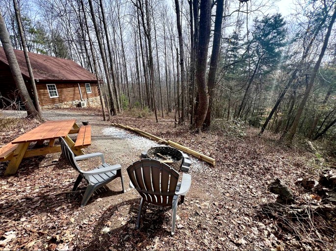 Cabins (United States of America, Wilkes County, North Carolina)