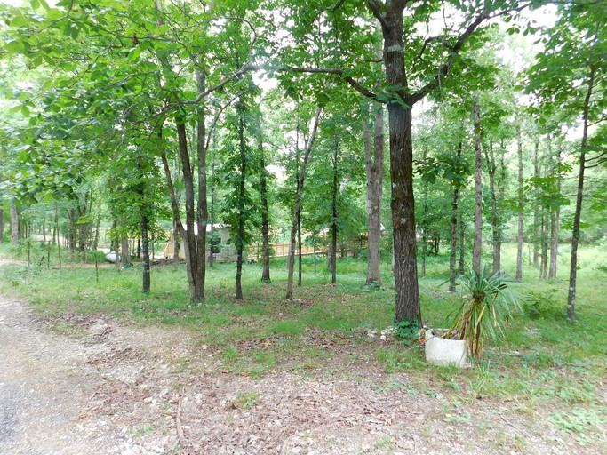 Bell Tents (Broken Bow, Oklahoma, United States)