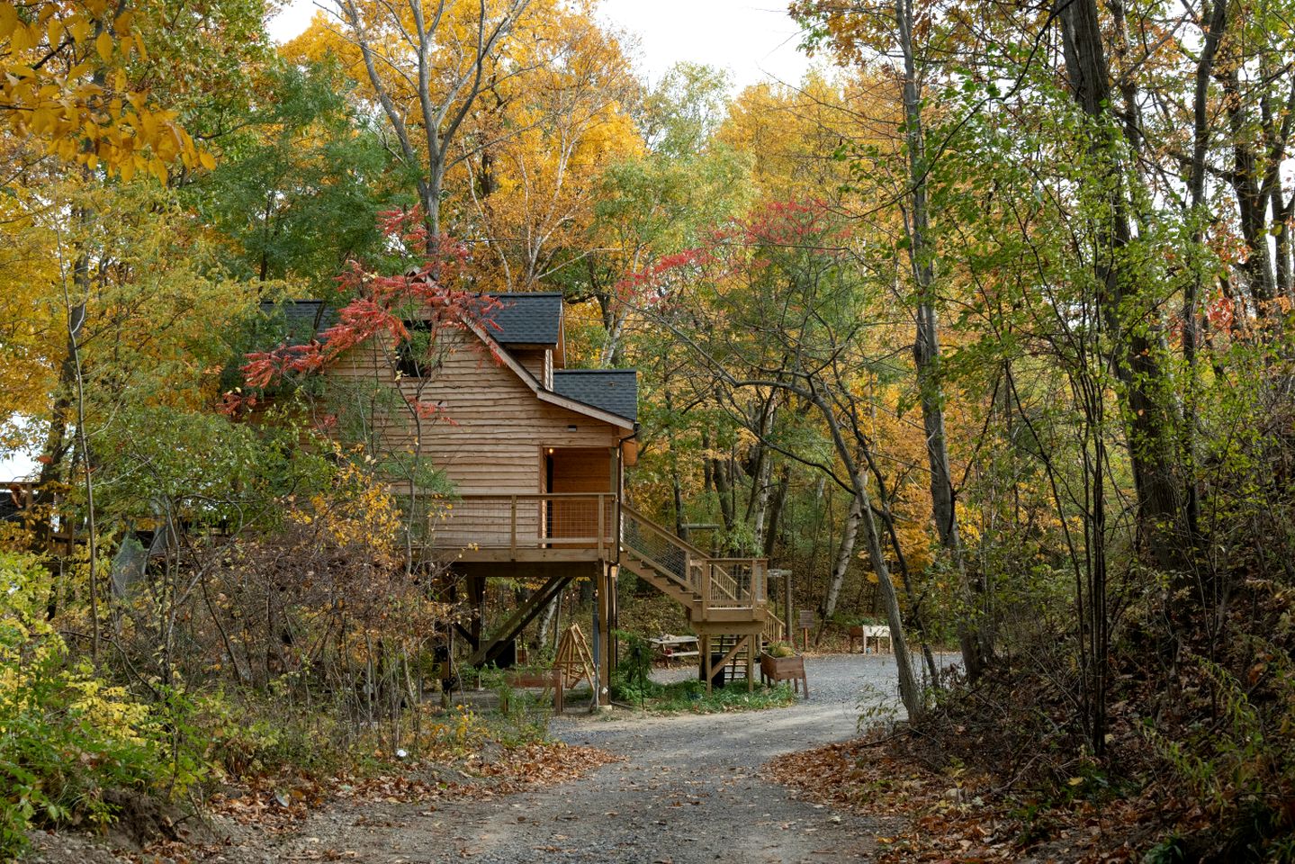 Tree Houses (United States of America, Penn Yan, New York)