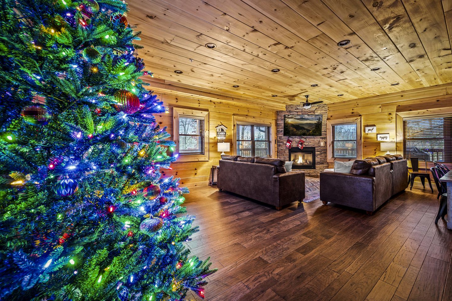 Cabins (United States of America, Gatlinburg, Tennessee)