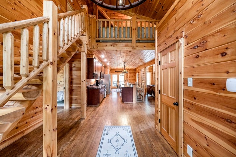 Cabins (United States of America, Forest, Virginia)