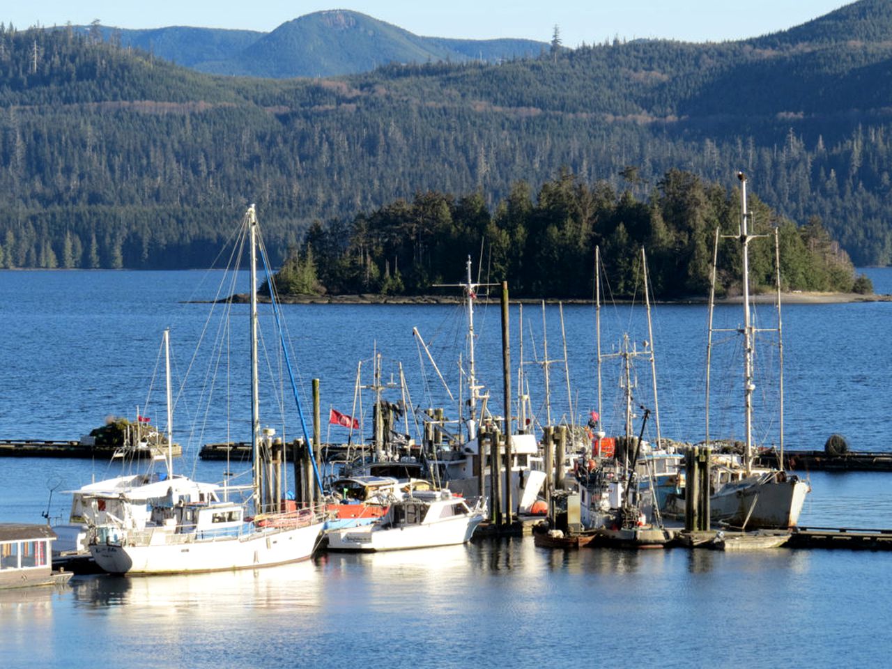 Nature Lodges (Queen Charlotte, British Columbia, Canada)