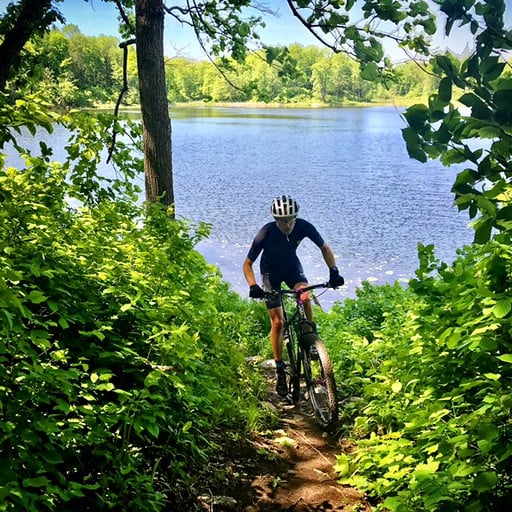 Nature Lodges (Callaway, Minnesota, United States)