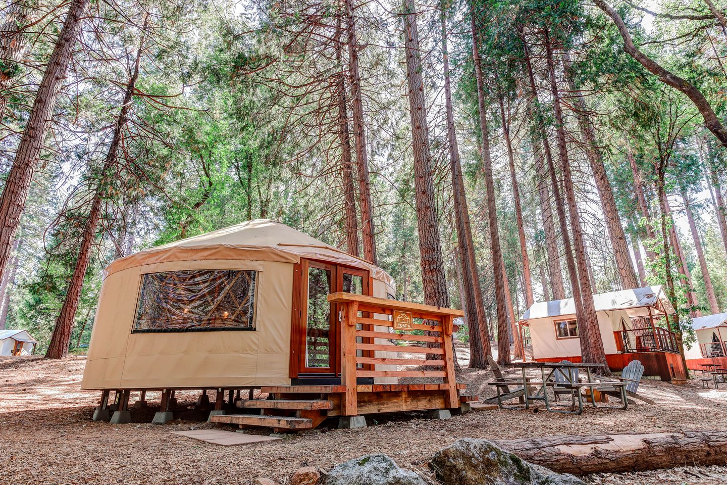 Beautiful Yurt Nestled in the Trees of a Wonderful Campground for an Unforgettable Glamping Getaway in Nevada City, California