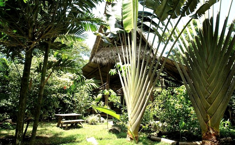 Safari Tents (Pto. Jimenez, Puntarenas, Costa Rica)