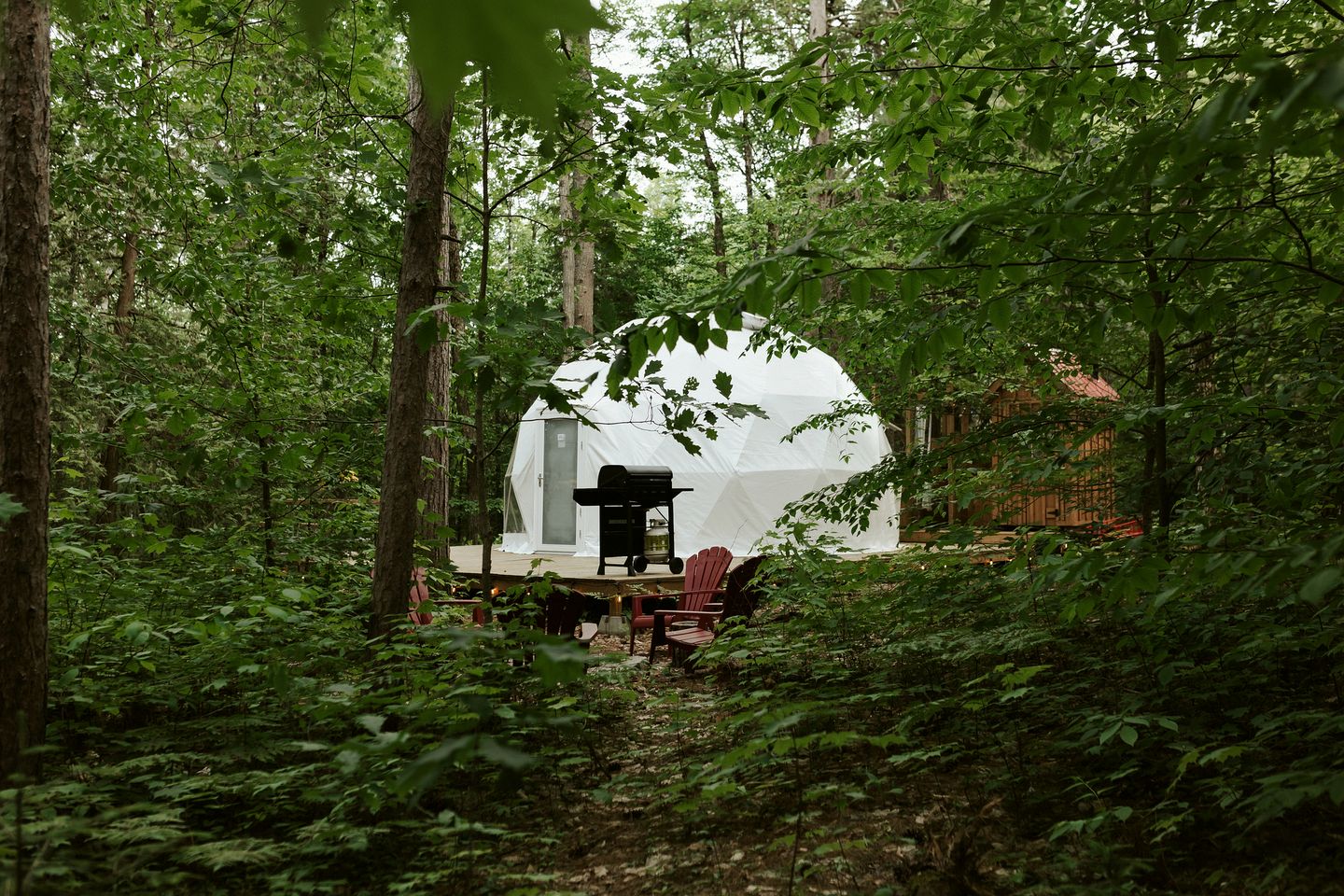 Fantastic Dome Nestled Amidst Trees and Barbecue Provided in Petawawa, Ontario