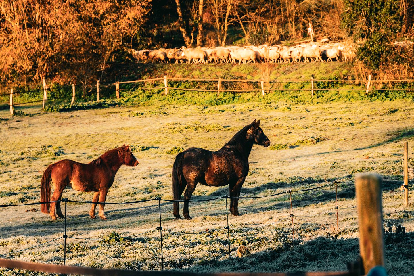 Breathtaking Panoramic Eco-Home with Solar Power near Volcanoes of Auvergne, Charbonnières-les-Vieilles, France
