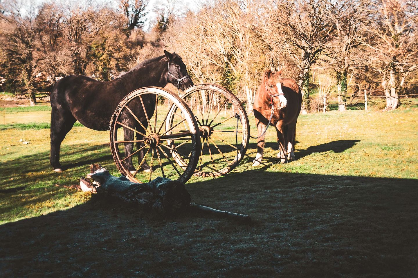 Breathtaking Panoramic Eco-Home with Solar Power near Volcanoes of Auvergne, Charbonnières-les-Vieilles, France