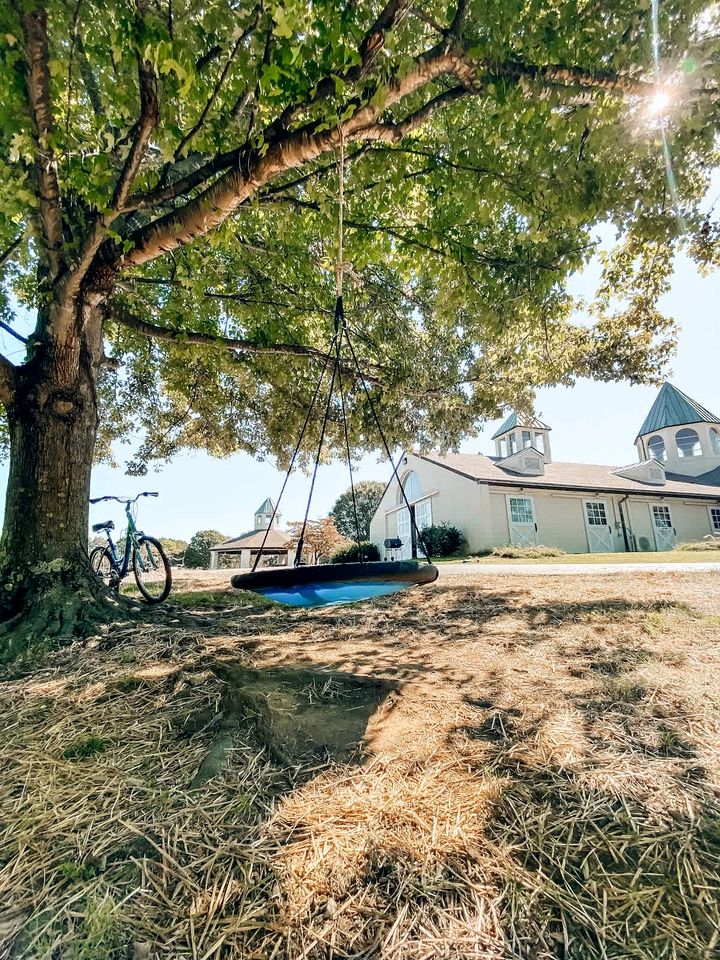 Barns (United States of America, Lebanon, Tennessee)