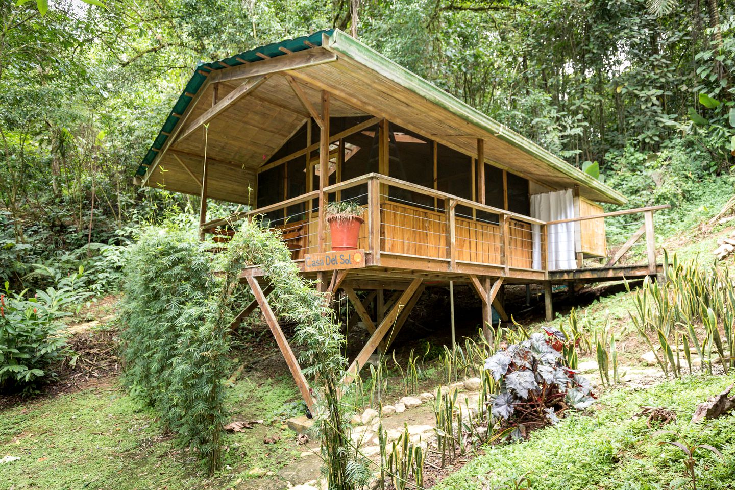 Tree Houses (Piedras Blancas, Puntarenas, Costa Rica)