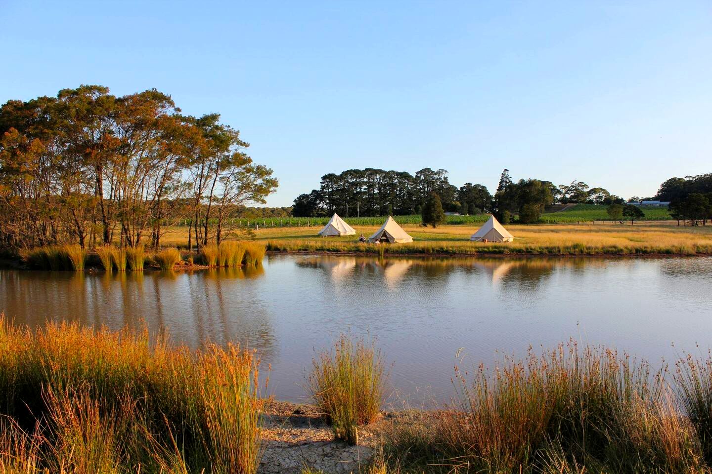 This idyllic bell tent accommodation near Wollongong is perfect for glamping in NSW. Holiday homes here are a peaceful retreat in nature.