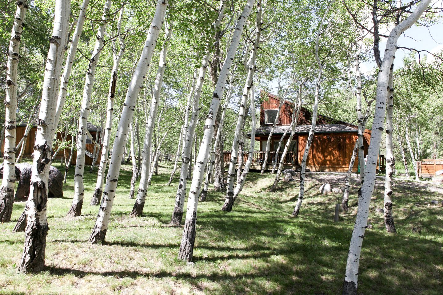 Cabins (Salida, Colorado, United States)