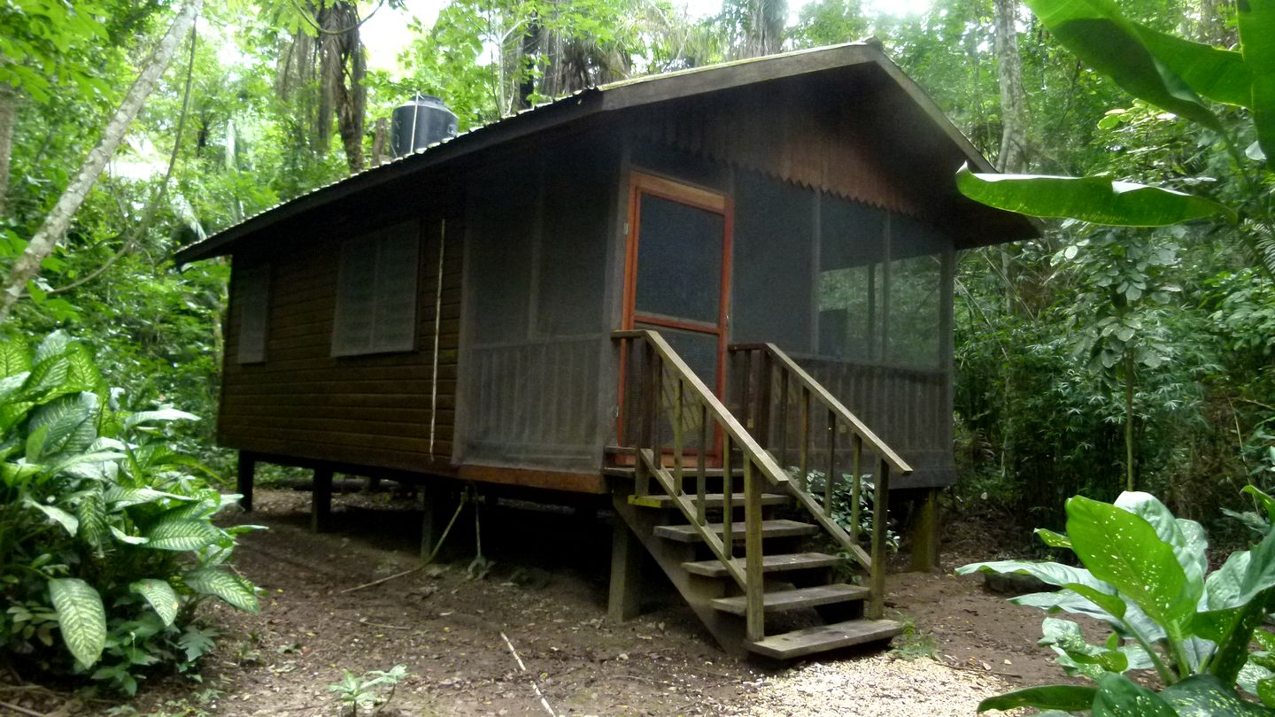 Huts (San Ignacio, Cayo District, Belize)