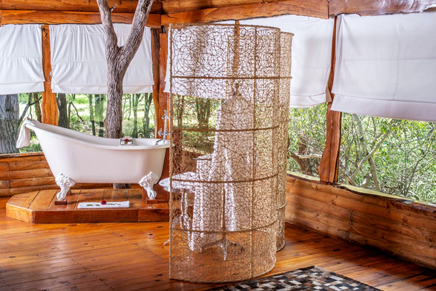 Incredible Deluxe Accommodation for Safaris in Makutsi Reserve, South Africa