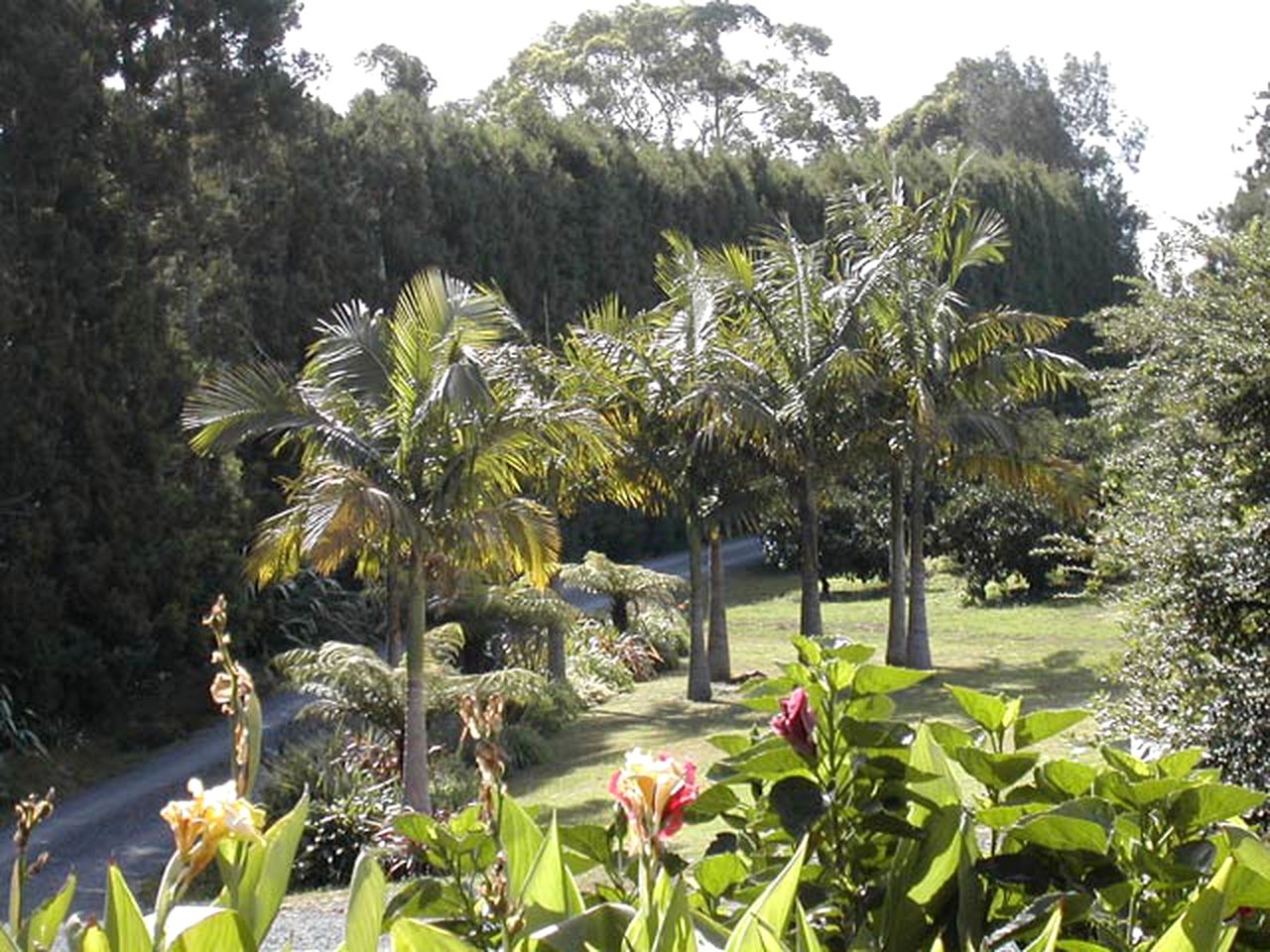 Cottages (Kerikeri, North Island, New Zealand)