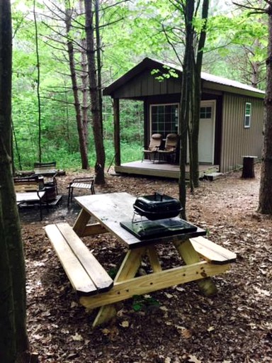 Cabins (Prattsburgh, New York, United States)