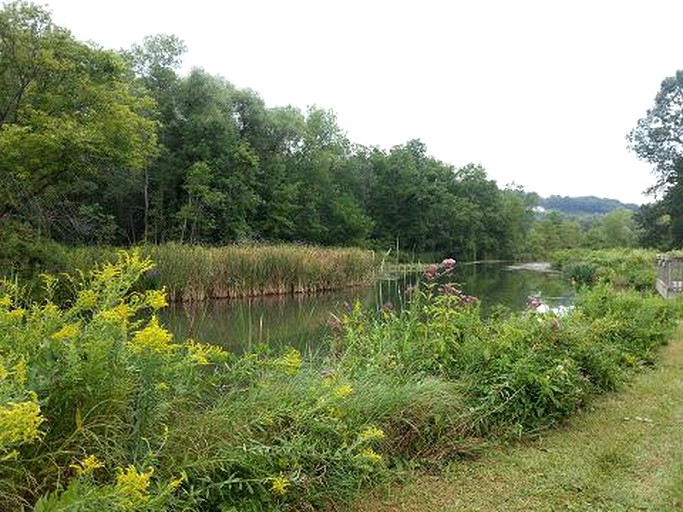 Cabins (Prattsburgh, New York, United States)
