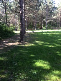 Cabins (Prattsburgh, New York, United States)
