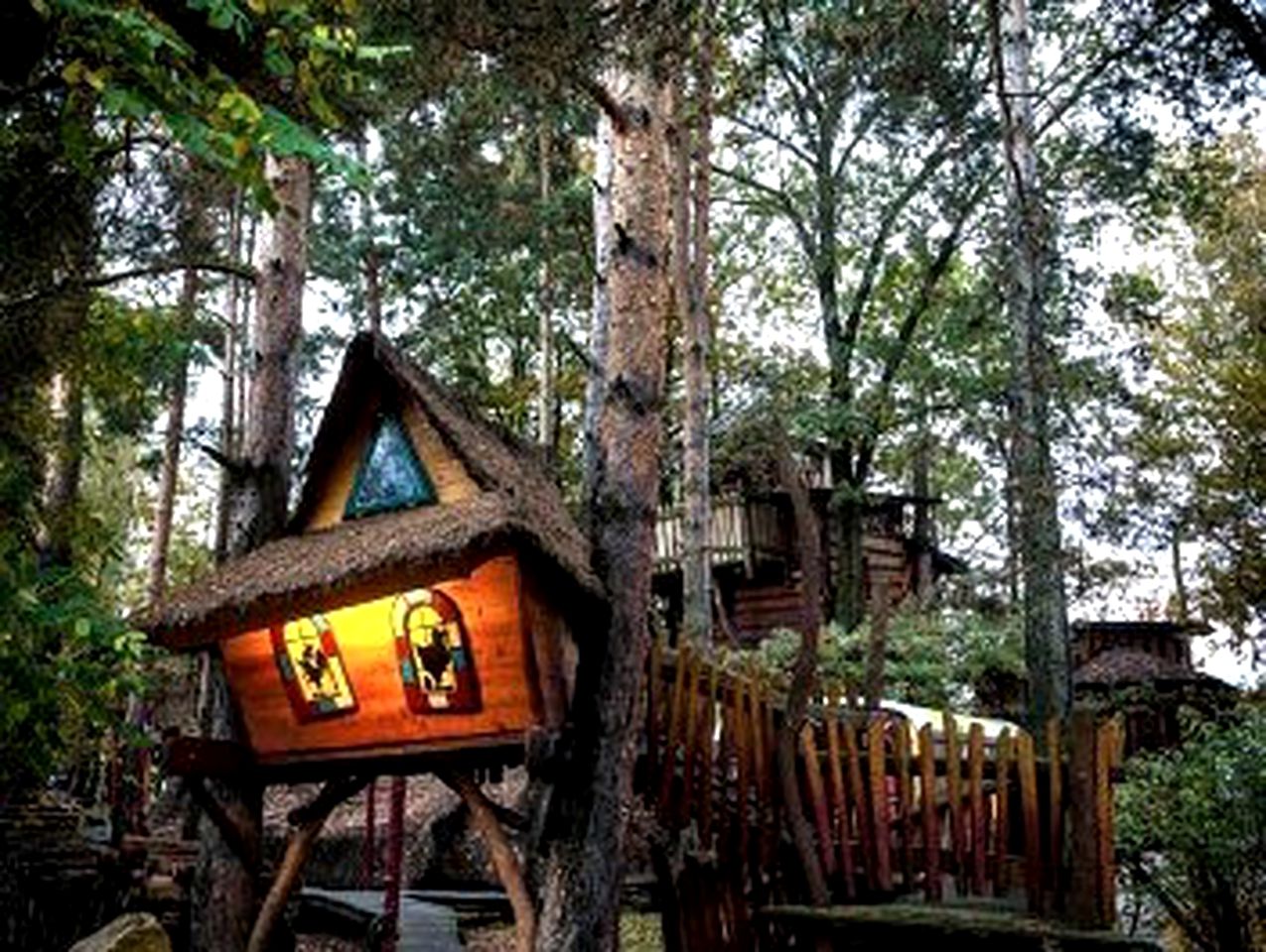 Tree Houses (Neißeaue, Saxony, Germany)