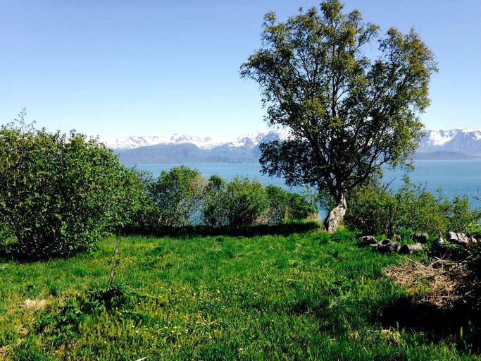 Cabins (Homer, Alaska, United States)