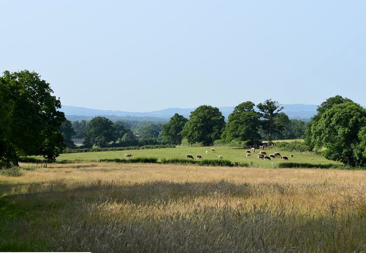 Bell Tents (Horsham, England, United Kingdom)