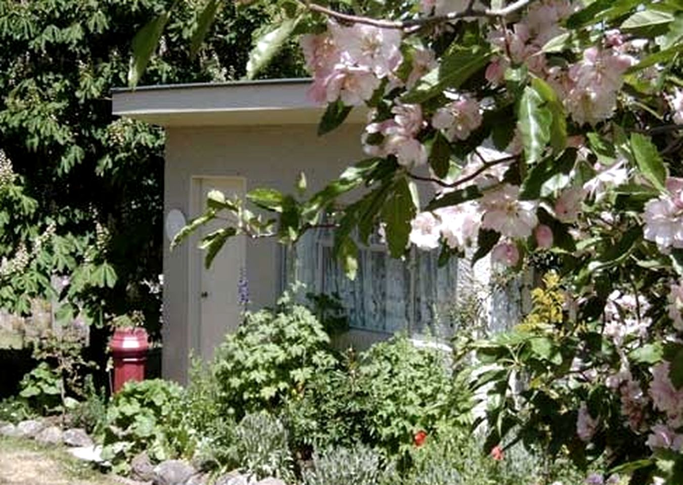 Cottages (Waipiata, South Island, New Zealand)