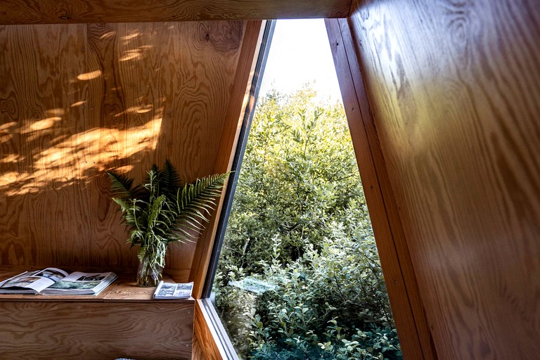 Tree Houses (United Kingdom, Tintagel, England)
