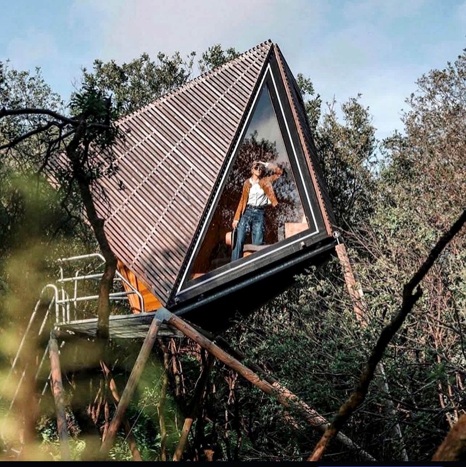 Luminous Woodland Tree House Oasis near Tintagel Waterfall in Cornwall