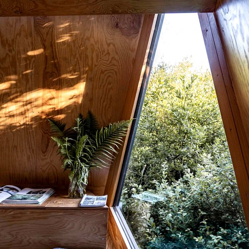 Tree Houses (United Kingdom, Tintagel, England)