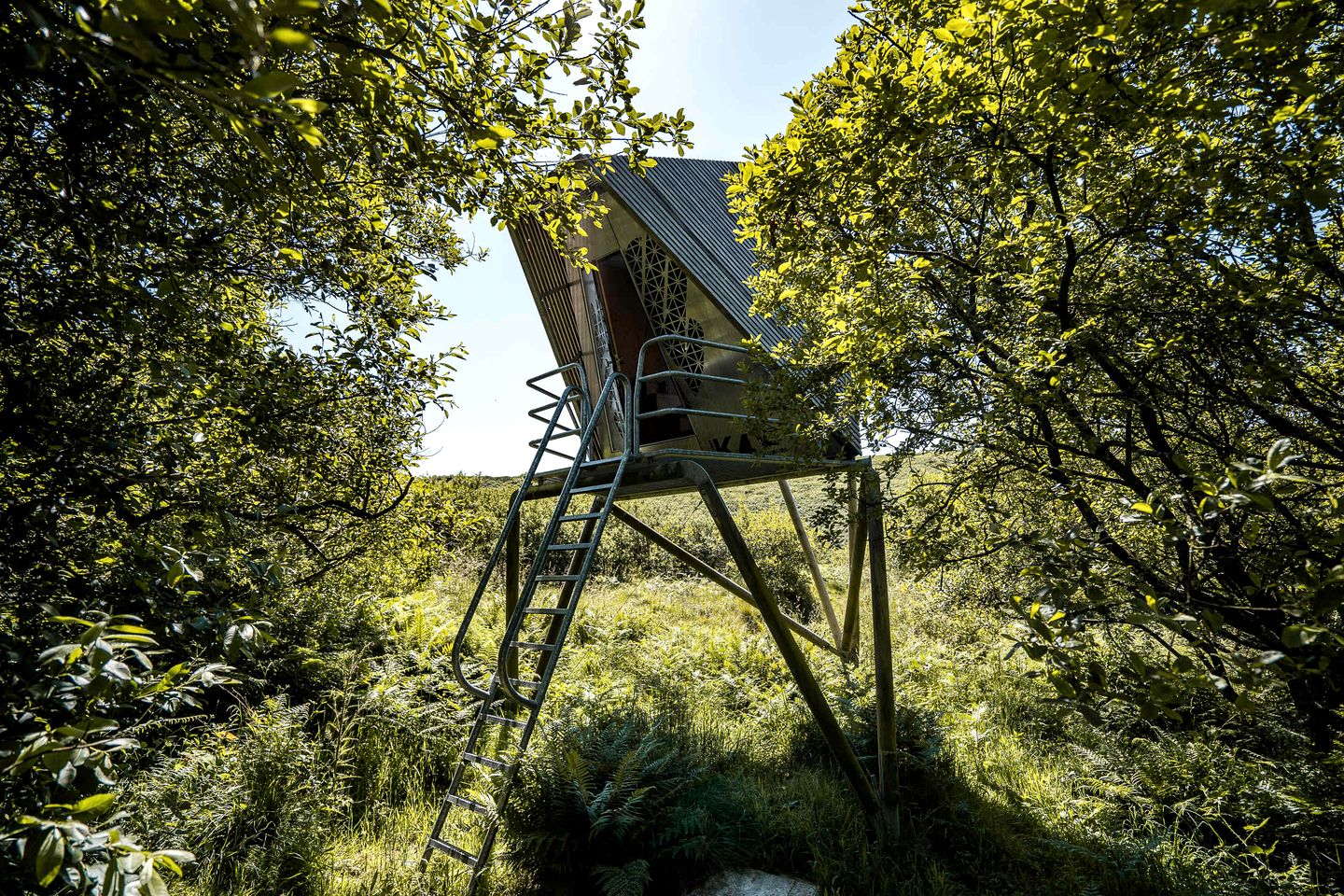 Radiant Woodland Tree House Retreat near Tintagel Waterfall in Cornwall