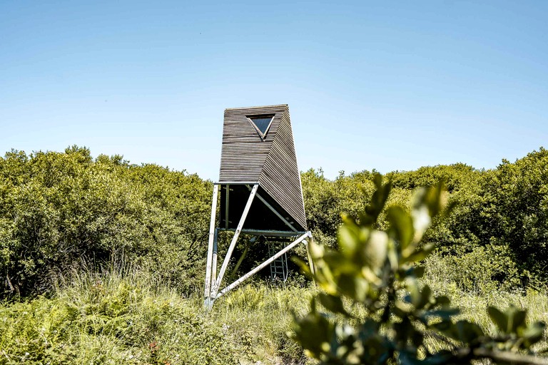 Tree Houses (United Kingdom, Tintagel, England)