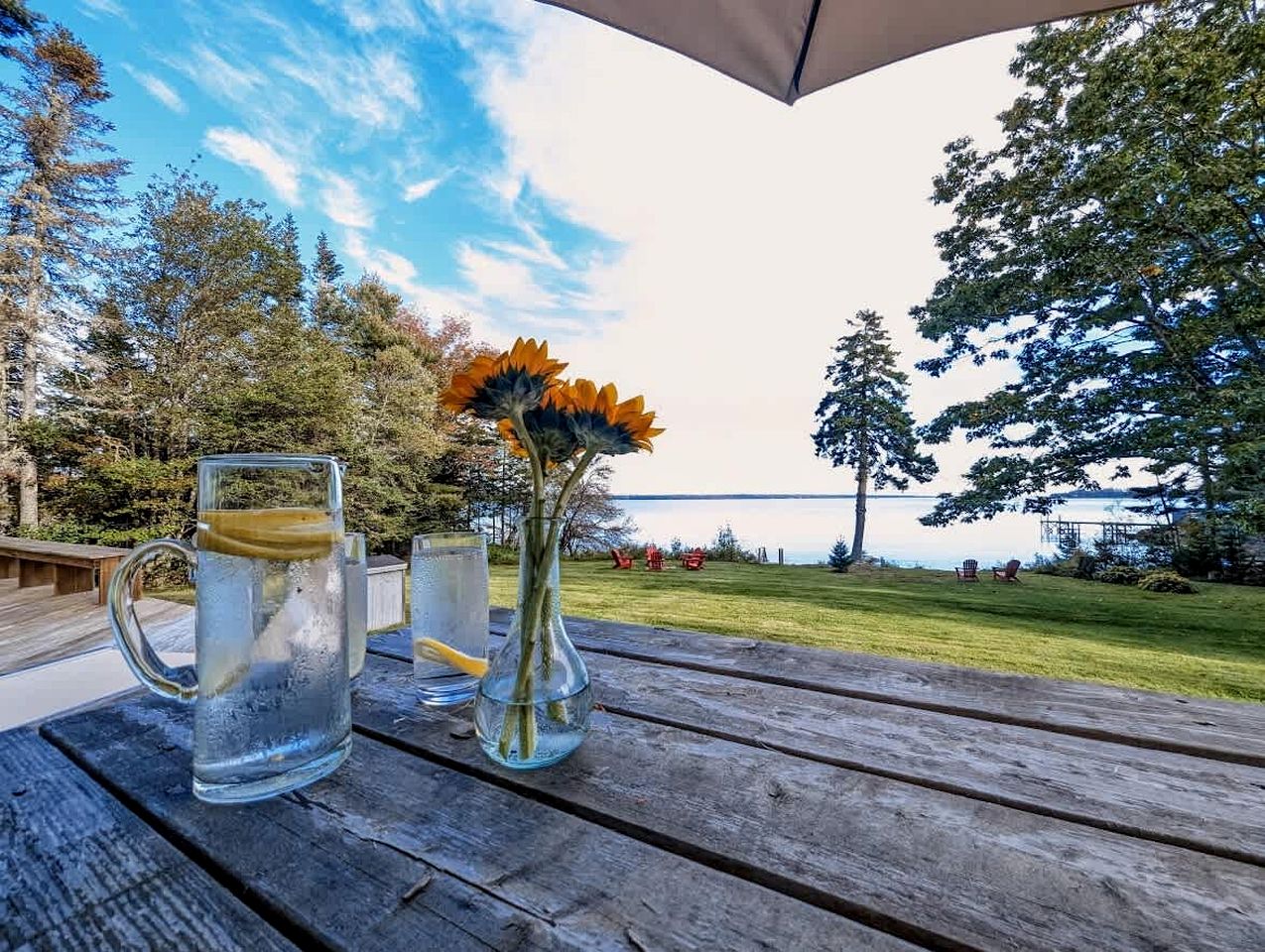 Stunning Oceanfront Ranch Cottage with Private Beach & Fire Pit Near Acadia National Park, Gouldsboro Maine