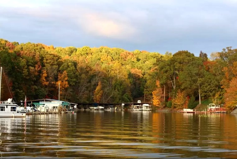 Cabins (Charlotte, North Carolina, United States)