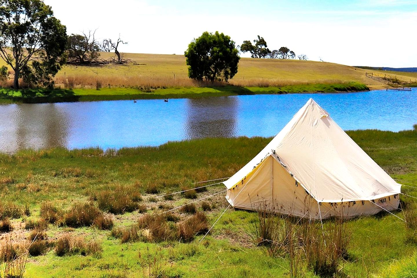This luxury tent in South Australia is the ideal place to go glamping, Kangaroo Island. Enjoy the sublime natural attractions and the wilderness!