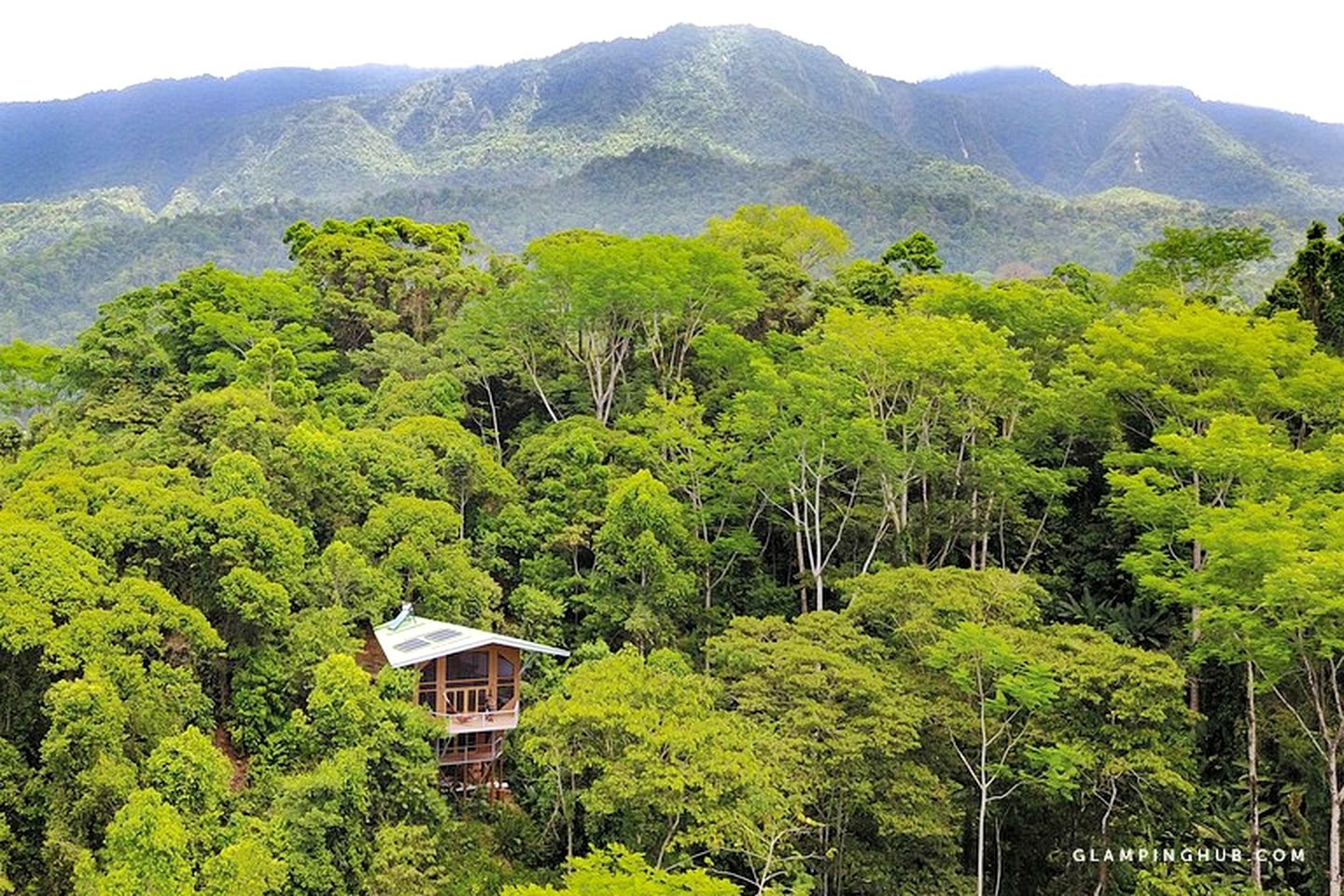 Tree Houses (Piedras Blancas, Puntarenas, Costa Rica)