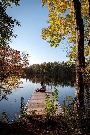 Tree Houses (United States of America, Sanford, Maine)