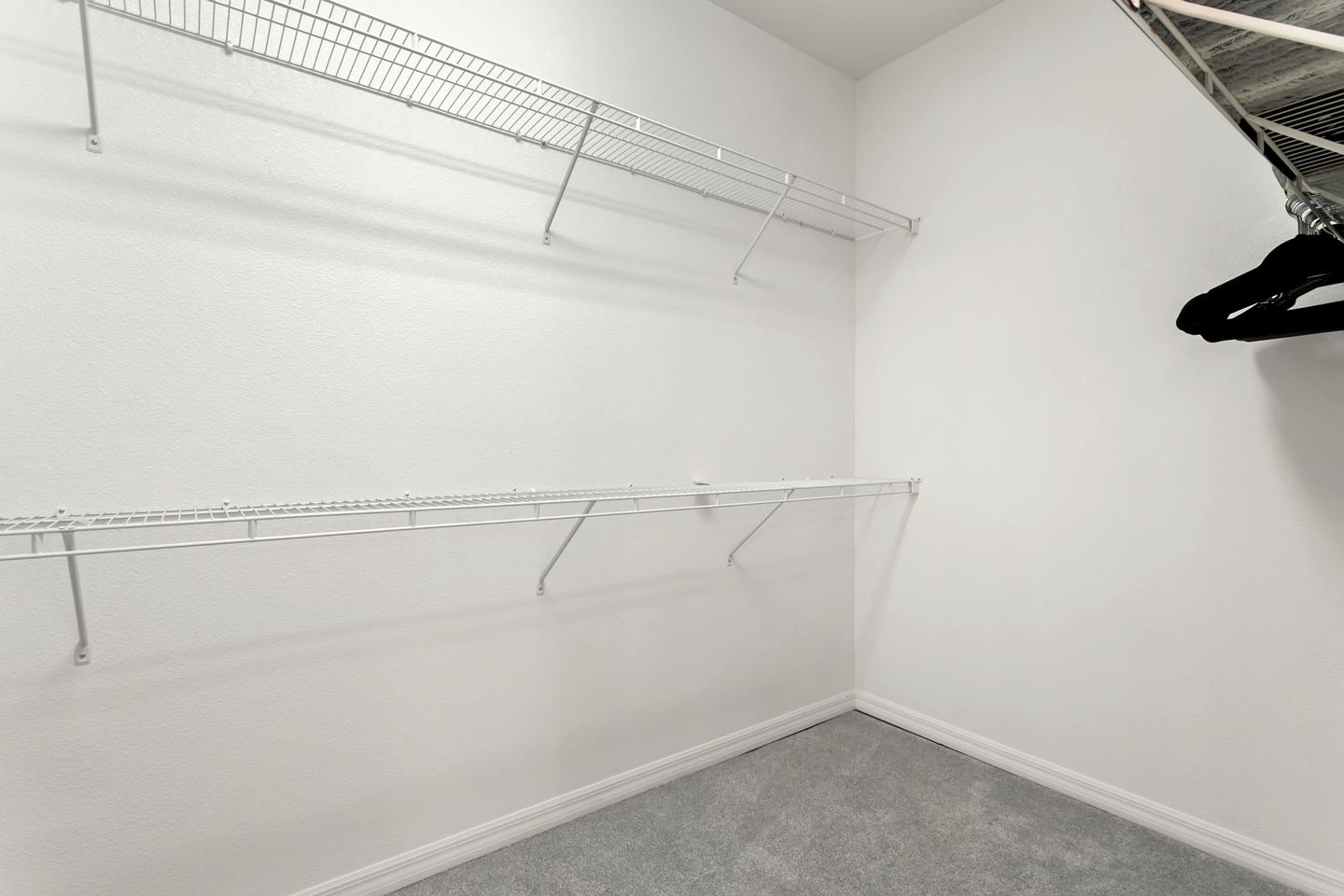 Modern Spacious Getaway: Heated Pool, Movie Room, Huge Yard & Event-Friendly in New Port Richey, Florida