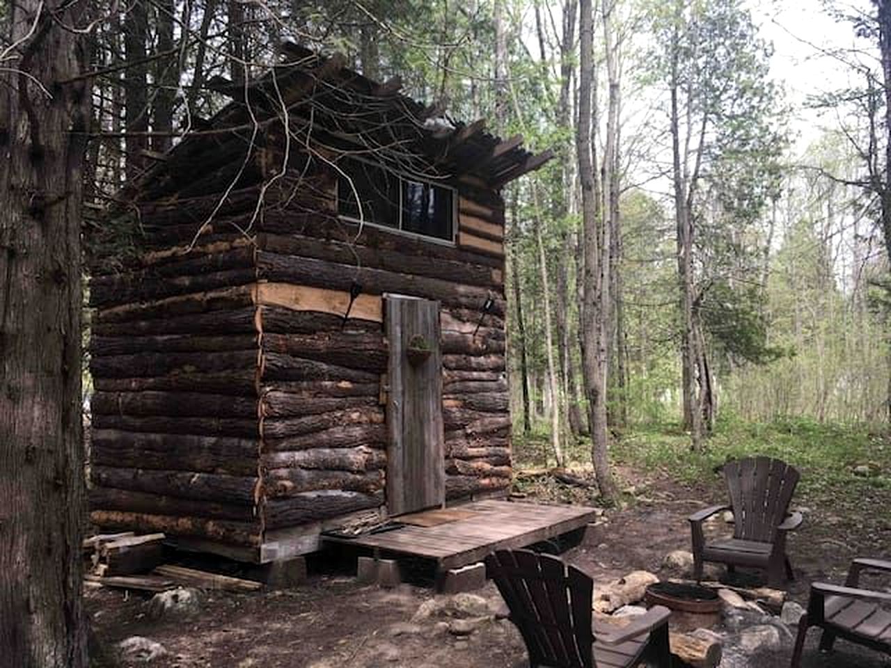 Rural Cabin Surrounded by Beautiful Nature in Ontario
