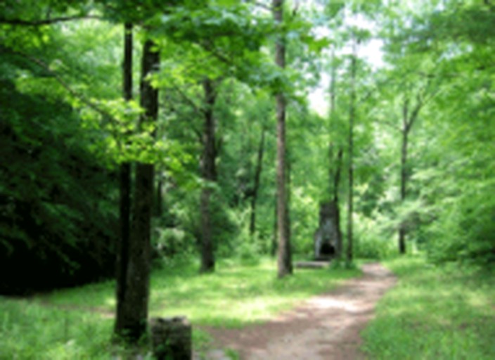 Nature Lodges (Arkville, New York, United States)