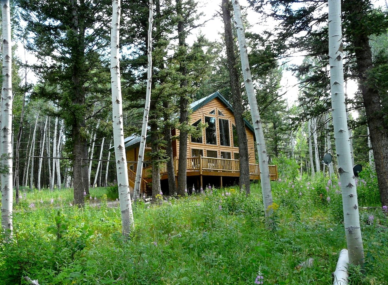 Rustic Family Cabin Nestled Among the Towering Trees in Idaho